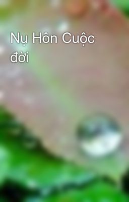 Nụ Hôn Cuộc đời