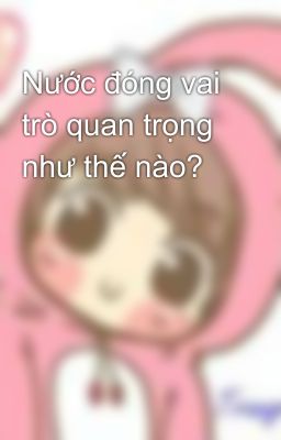 Nước đóng vai trò quan trọng như thế nào?