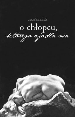 o chłopcu, którego zjadła osa ──── ʜᴀɪᴋʏᴜᴜ