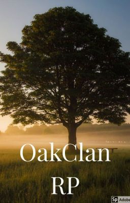 OakClan  ~ warriorcat Roleplay