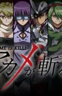 Observe, Record, and Protect (Akame Ga Kill X Reader)