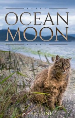 OCEAN MOON  ༄  a warrior cats fan-fiction