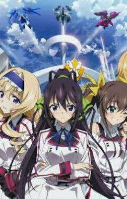 Odd One Out (Male Reader X Infinite Stratos Harem)