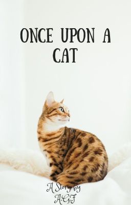 Once Upon a Cat