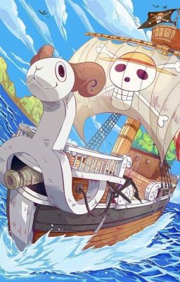 [ One Piece ] không hoàn chỉnh sổ tay thám hiểm