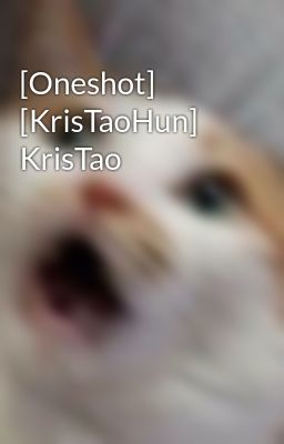 [Oneshot] [KrisTaoHun] KrisTao
