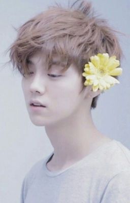 [oneshot] [NC 17] [Hunhan] Hiểu lầm