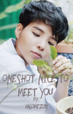 [ONESHOT] Nice To Meet You