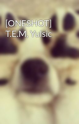 [ONESHOT] T.E.M, Yulsic