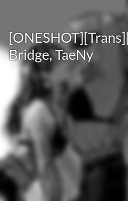 [ONESHOT][Trans][SNSD] Bridge, TaeNy