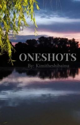 ☆ ONESHOTS ☆