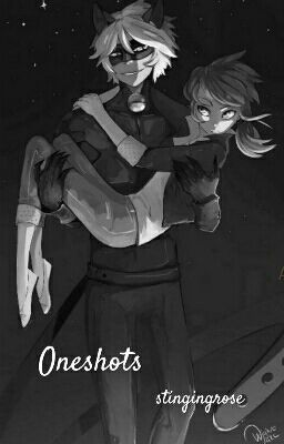 Oneshots || miraculous