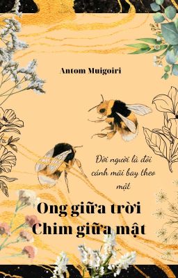 Ong giữa trời, Chim giữa mật- Antom Muigoiri