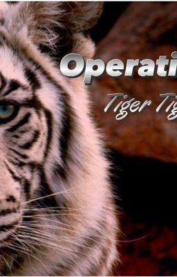 Operation Tiger Tiger