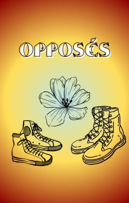 Opposés || mlm