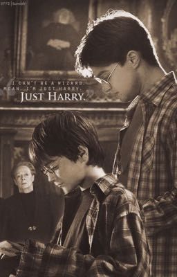 [OS-Harry Potter] •present; 