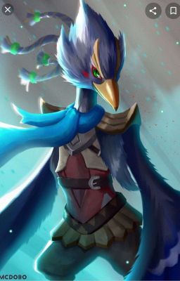 Our Adventure  (revali x reader)