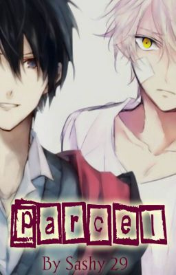 ✖  || PARCEL || [YAOI]