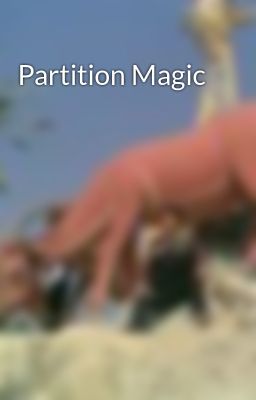 Partition Magic