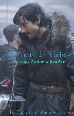 Partners In Crime || Cassian Andor X Reader