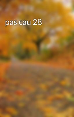 pas cau 28