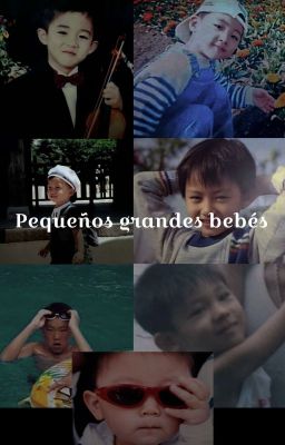 Pequeños grandes bebés 𖥔 Seventeen