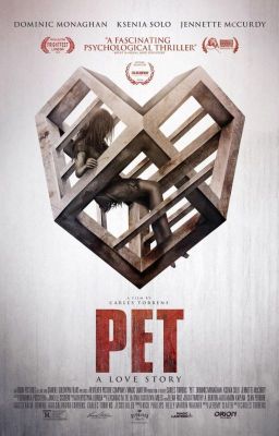 Pet | Steter