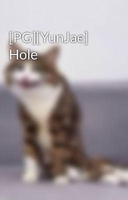 [PG][YunJae] Hole
