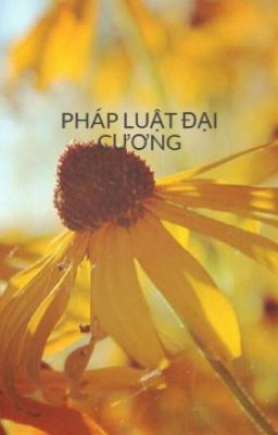 PHÁP LUẬT ĐẠI CƯƠNG