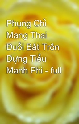 Phụng Chỉ Mang Thai Đuổi Bắt Trốn Dựng Tiểu Manh Phi - full
