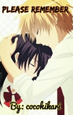 Please Remember [Kaichou wa maid sama FanFic]