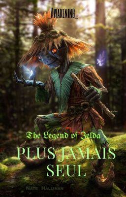 Plus jamais seul - The Legend of Zelda 