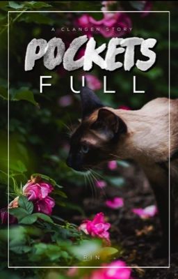 POCKETS FULL || A Clangen Story