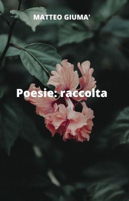 Poesie: raccolta