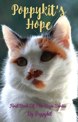 Poppykit's Hope