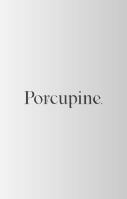 Porcupine.