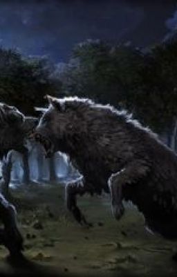 Pottermore Werewolves lang nhân