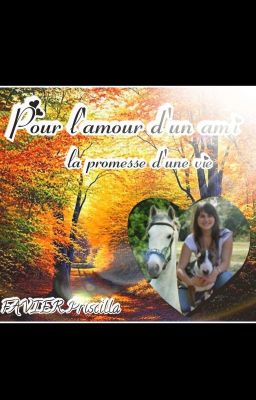 Pour l'amour d'un ami, la promesse d'une vie (en ecriture)