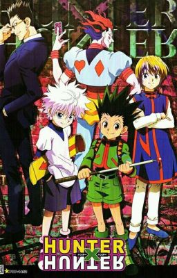 Preferencje Hunter x Hunter