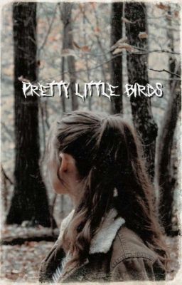 PRETTY LITTLE BIRDS ━ bellamy blake ¹