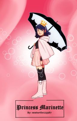 Princess Marinette