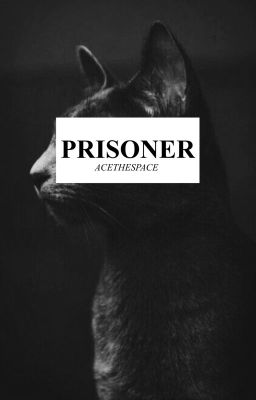 Prisoner | warrior cats