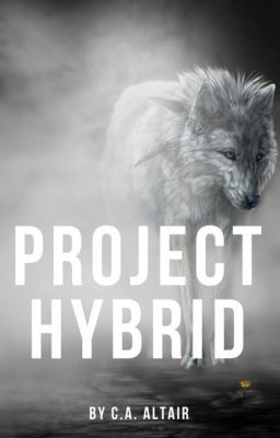 Project Hybrid