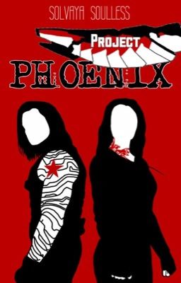 Project PHOENIX - Falcon & The Winter Soldier (Marvel-FanFiction)