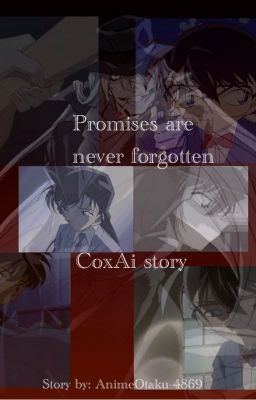 Promises are never forgotten. Detective Conan fanfic