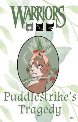 Puddlestrike's Tragedy || A Warrior Cats Story