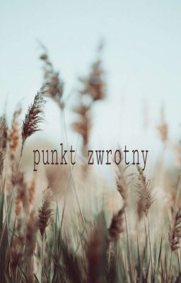 Punkt zwrotny