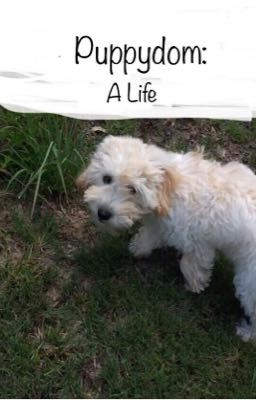 Puppydom: A Life