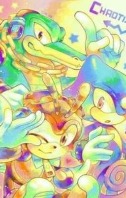 Puzzled - A Team Chaotix x Reader fanfic