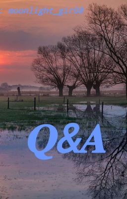 Q&A